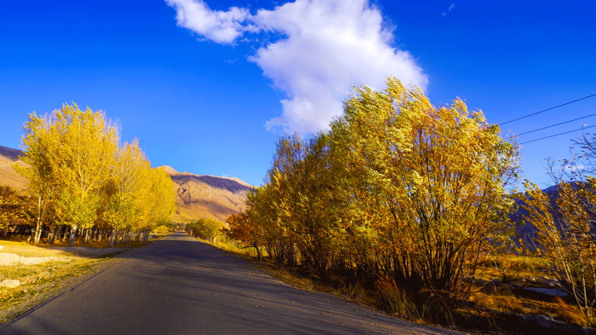 روستای گل آباد