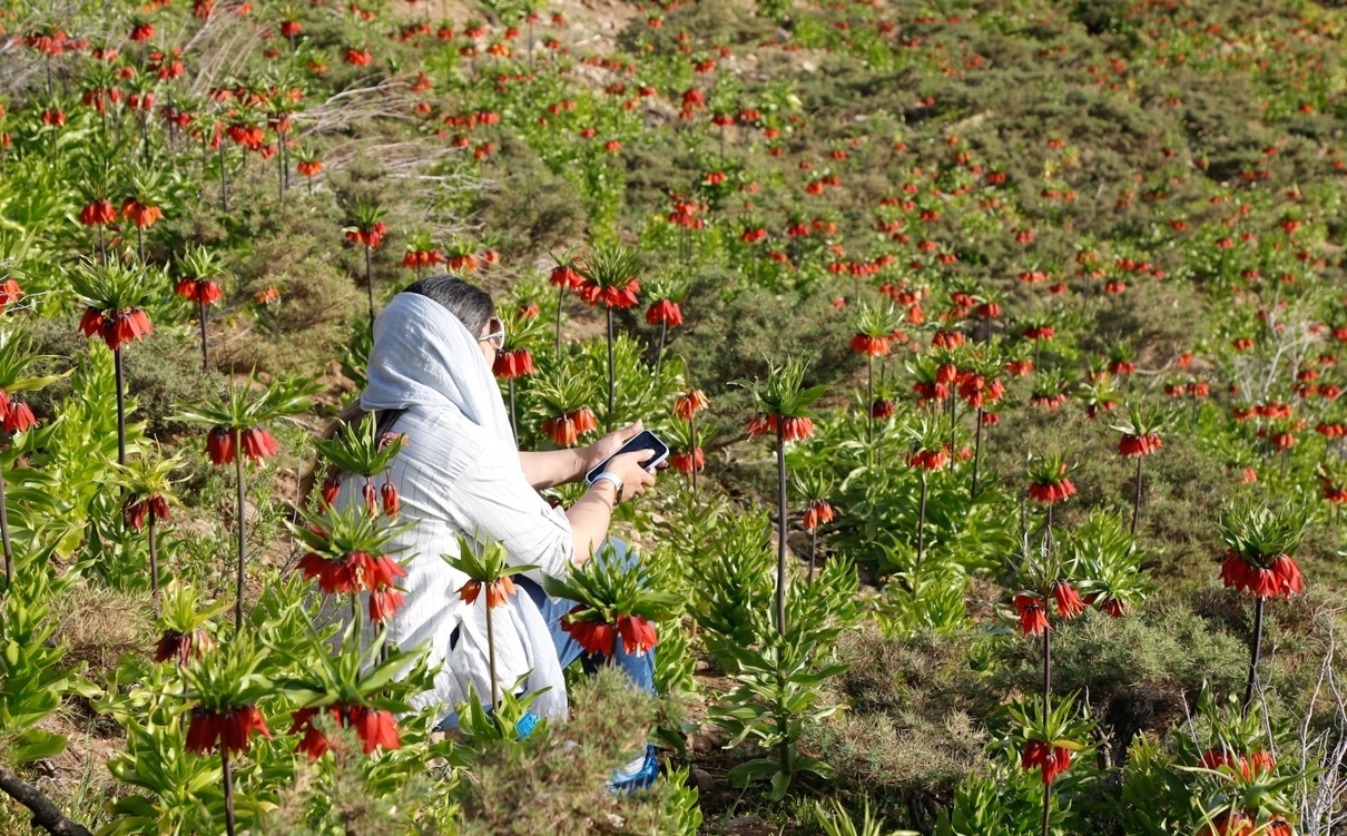 توضیح